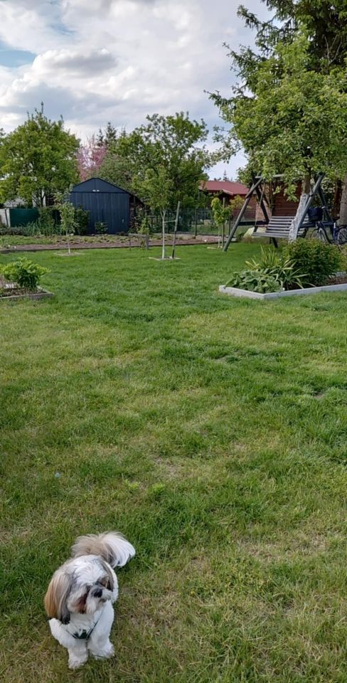 Działka rod Grochowiska. Zdjęcie 21