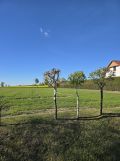 Działka rolno-budowlana Laszki Jarębki. Zdjęcie 1