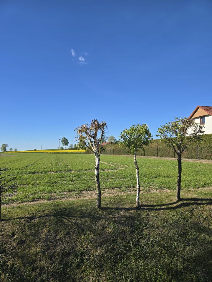 Działka rolno-budowlana Laszki Jarębki. Zdjęcie 2