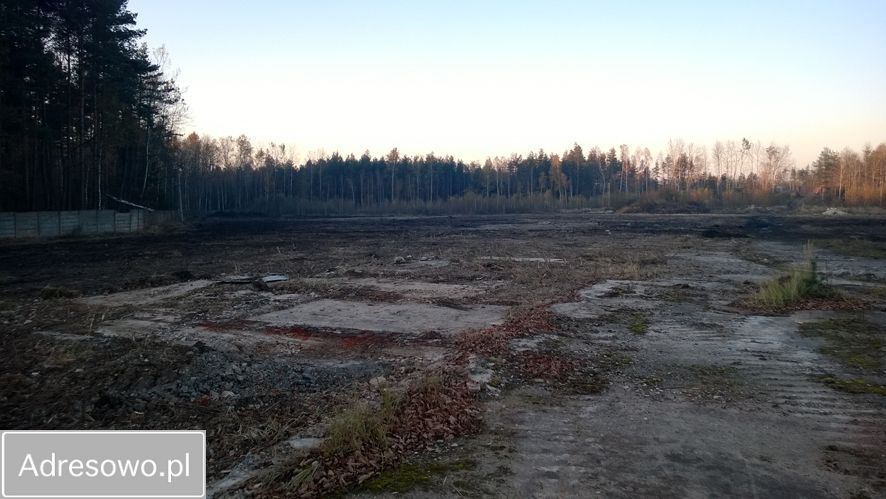 Działka inwestycyjna Lipie. Zdjęcie 3