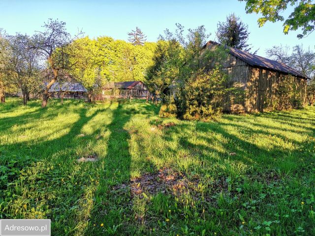 Działka siedliskowa Sobolew, ul. Żelechowska. Zdjęcie 1