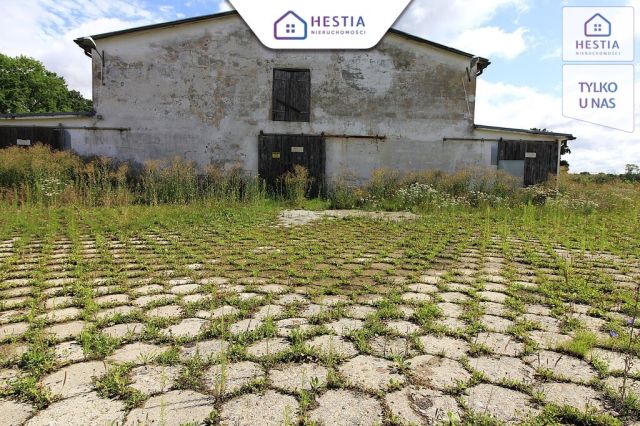 Hala/magazyn Strzyżno. Zdjęcie 4