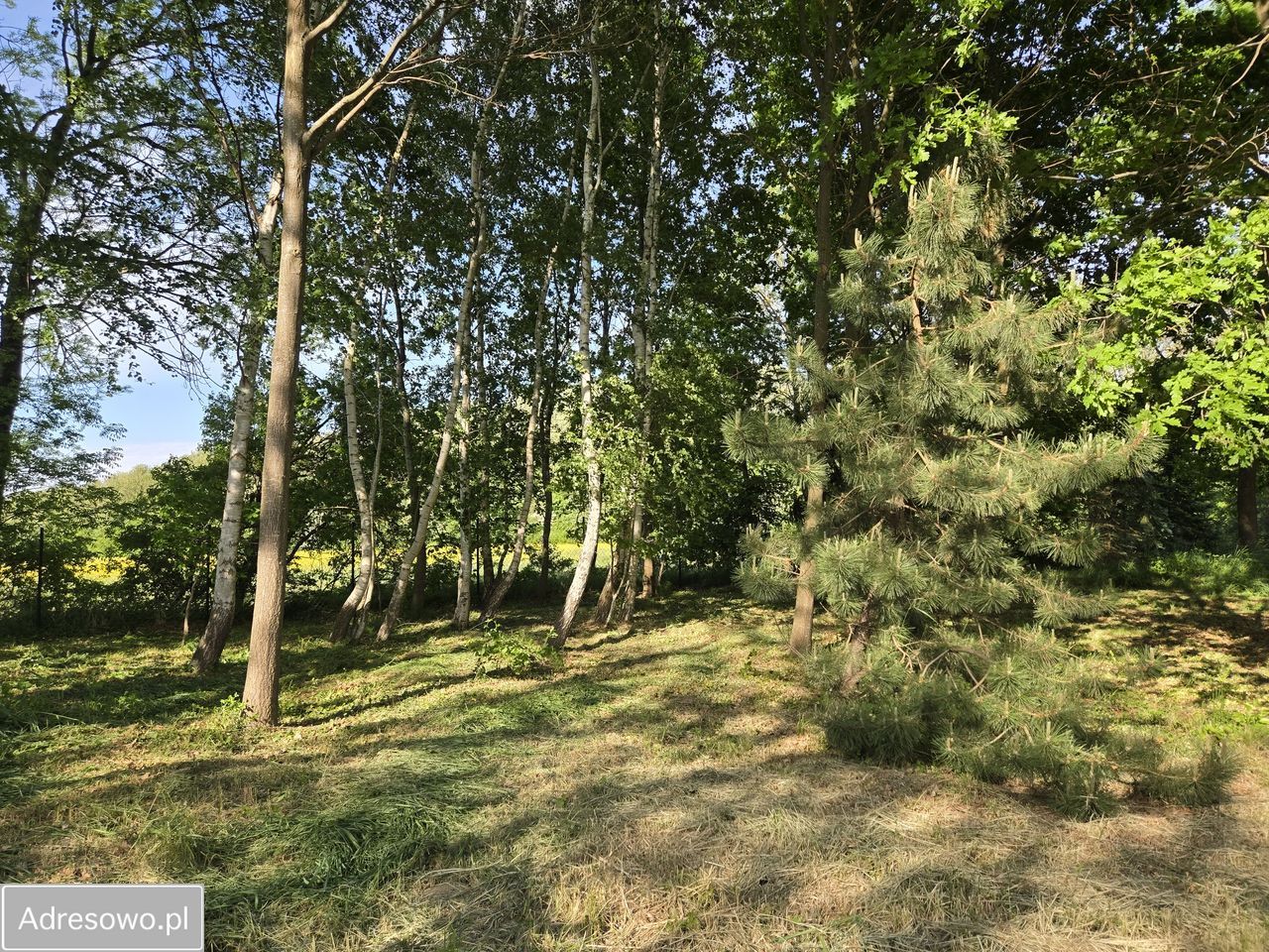Działka siedliskowa Gdańsk Wyspa Sobieszewska, ul. Kempingowa. Zdjęcie 4