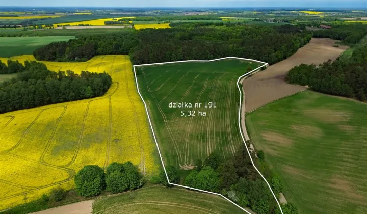Działka rolna Rudno