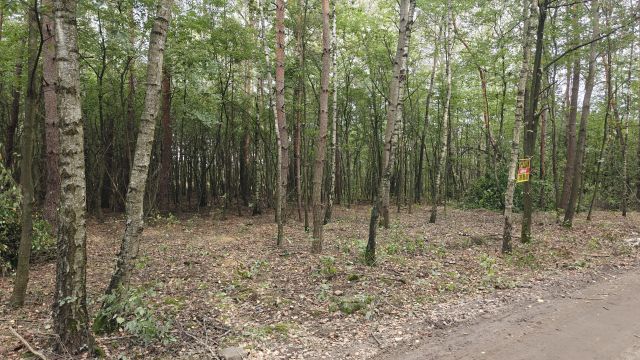 Działka leśna Łódź Feliksin, ul. Ziemiańska. Zdjęcie 1