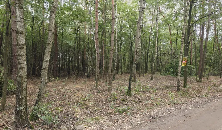 Działka leśna Łódź Feliksin, ul. Ziemiańska