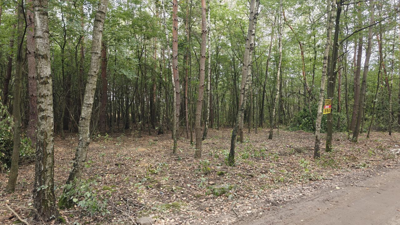 Działka leśna Łódź Feliksin, ul. Ziemiańska. Zdjęcie 1