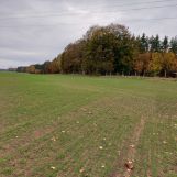 Działka inwestycyjna Mianowice. Zdjęcie 3