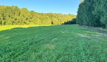 Działka rolno-budowlana Pruszyn-Pieńki, ul. Miodowa
