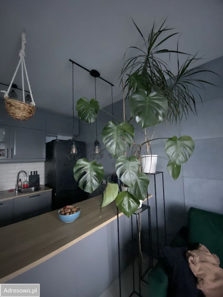 Mieszkanie 3-pokojowe Sosnowiec Milowice, ul. Krzysztofa Kamila Baczyńskiego. Zdjęcie 12