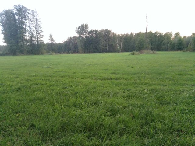 Działka rolna Kożuszki. Zdjęcie 1