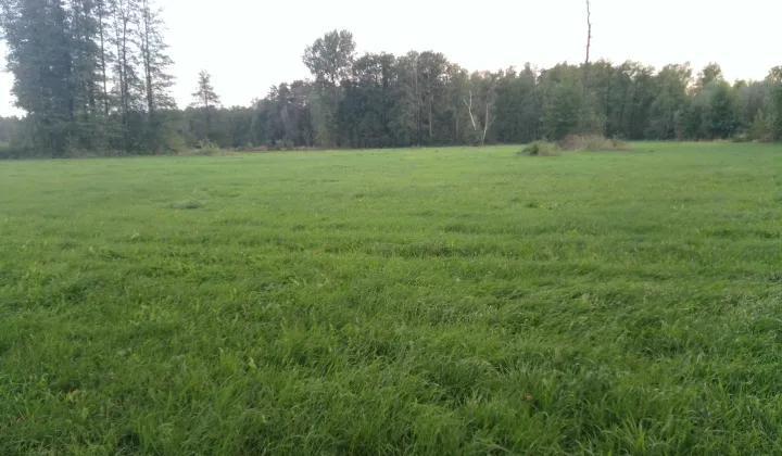 Działka rolna Kożuszki