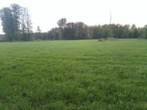 Działka rolna Kożuszki
