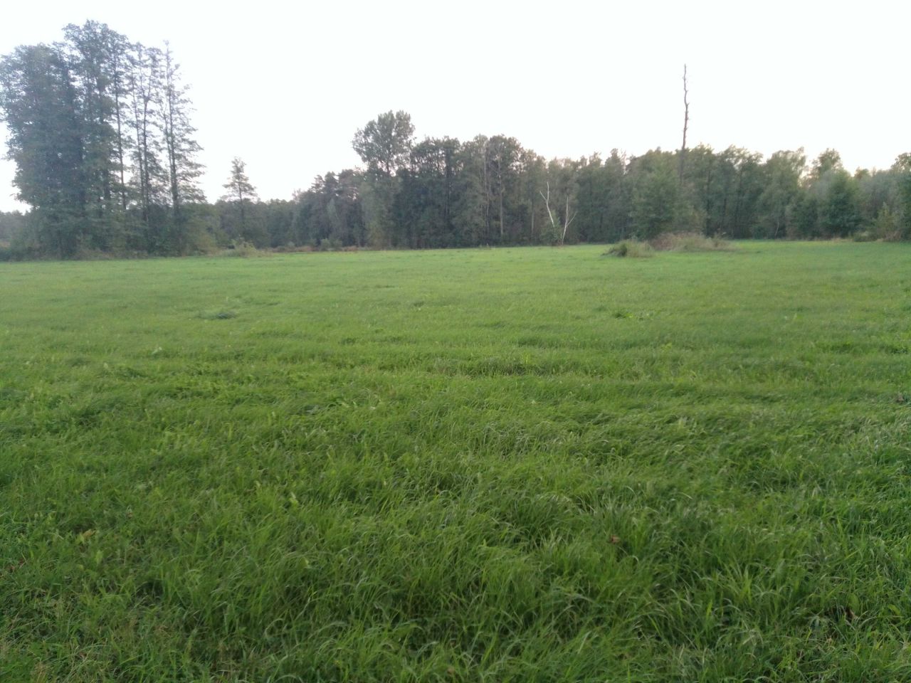 Działka rolna Kożuszki