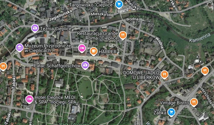 Lokal Jelenia Góra Cieplice Śląskie-Zdrój, pl. Piastowski