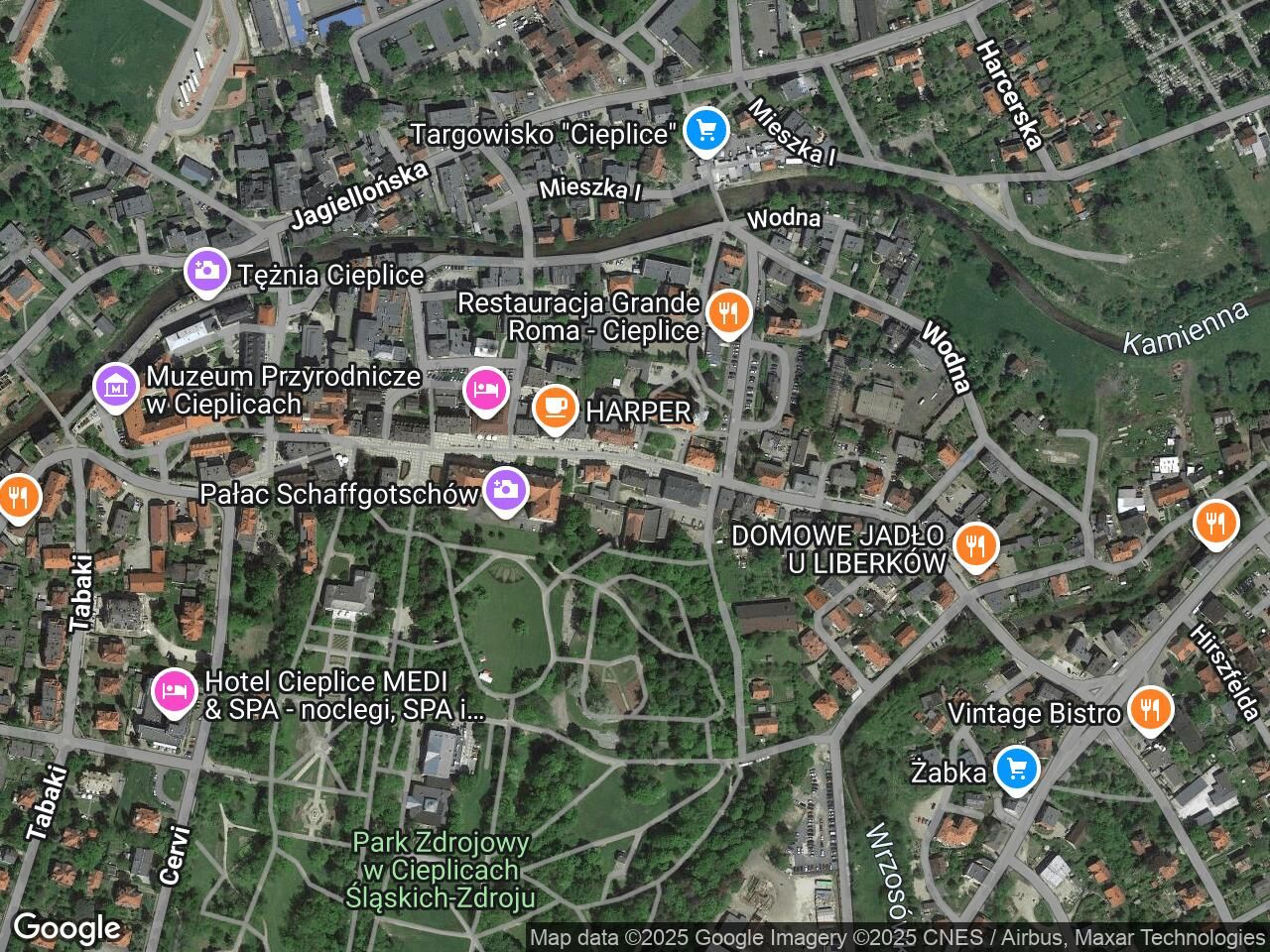 Lokal Jelenia Góra Cieplice Śląskie-Zdrój, pl. Piastowski