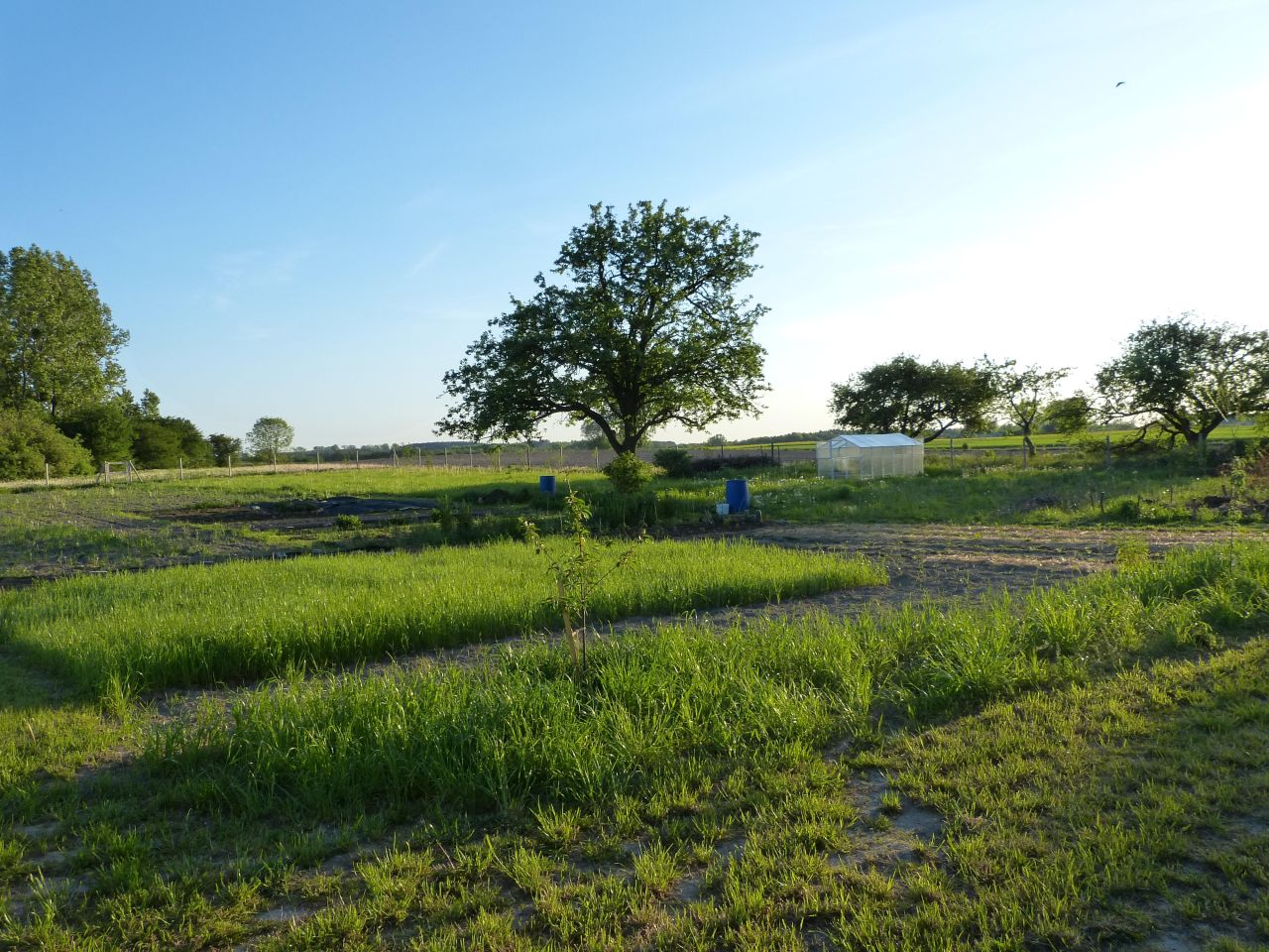 siedlisko, 4 pokoje Kikół-Wieś, Kikół-Wieś. Zdjęcie 14