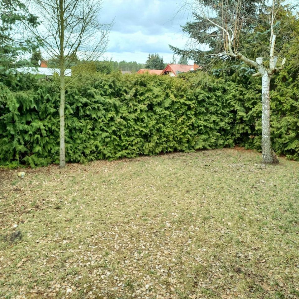 siedlisko, 3 pokoje Sławica, ul. Cienista. Zdjęcie 11