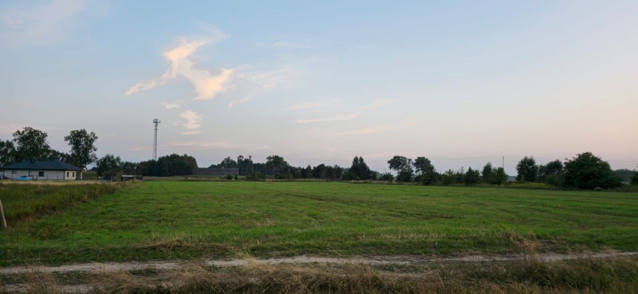 Działka rolno-budowlana Żeliszew Duży. Zdjęcie 1
