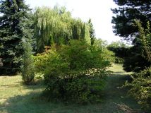 Działka budowlana Milanów. Zdjęcie 4