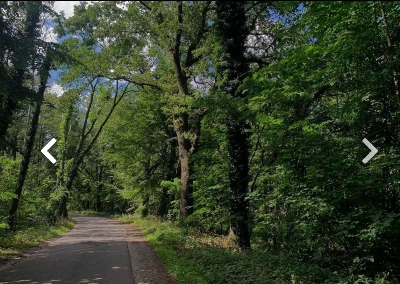 Działka budowlana Świbinki. Zdjęcie 2