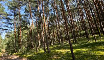 Działka rekreacyjna Zakrzówek Szlachecki