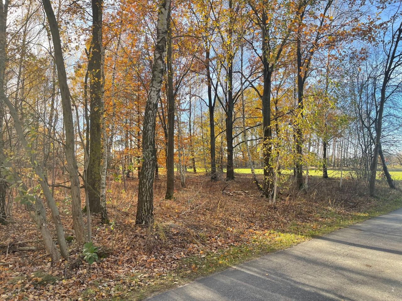 Działka budowlana Iwowe. Zdjęcie 7