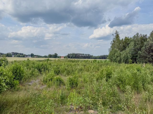 Działka rolno-budowlana Stare Żdżary. Zdjęcie 1