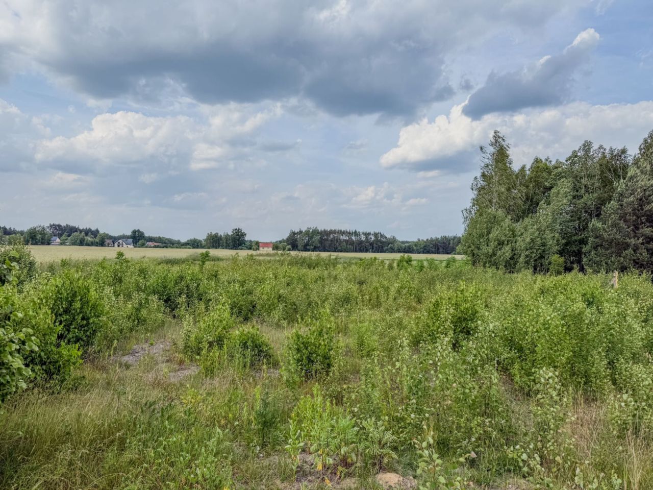 Działka rolno-budowlana Stare Żdżary