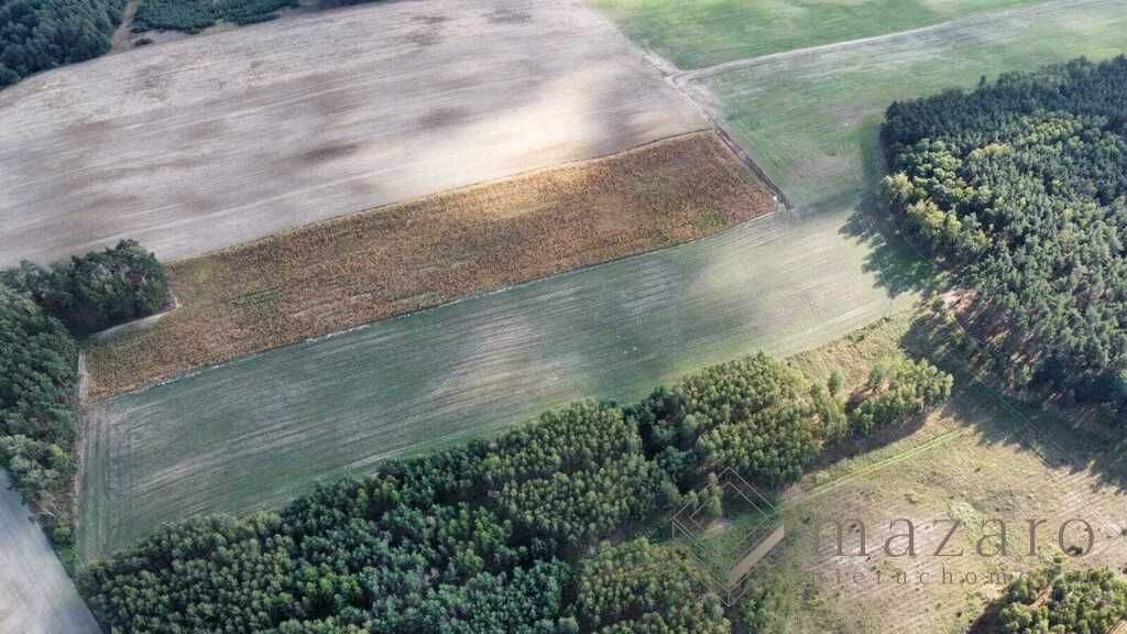 Działka rolna Józefinka. Zdjęcie 6