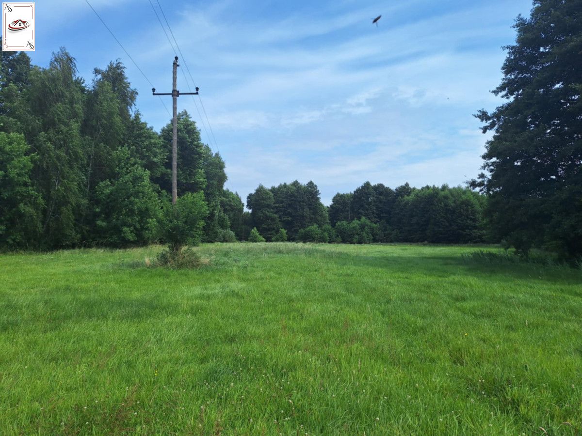 Działka rolna Kępa. Zdjęcie 2