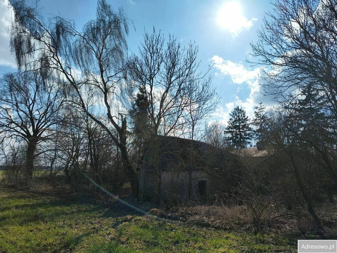 siedlisko, 3 pokoje Łubki. Zdjęcie 9