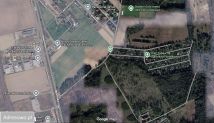 Działka rod Złotkowo. Zdjęcie 2