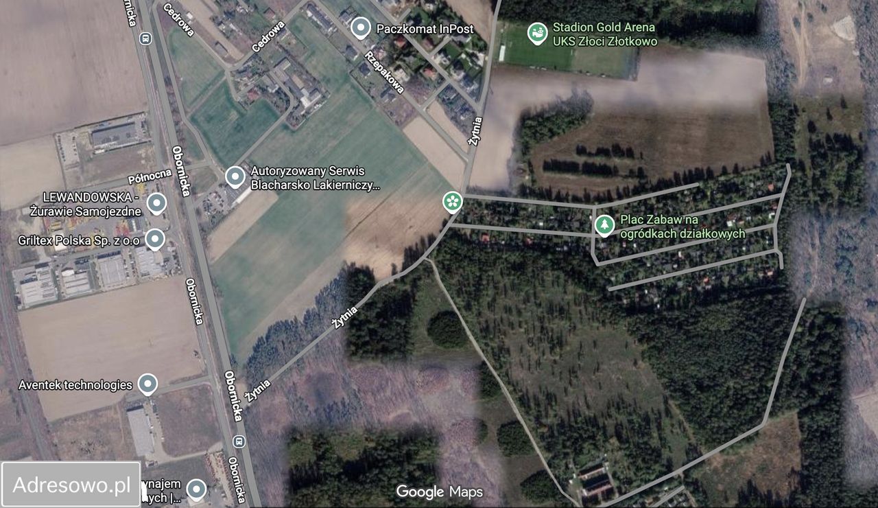 Działka rod Złotkowo. Zdjęcie 3