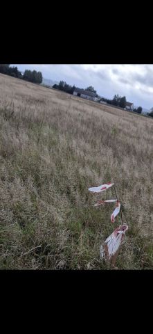 Działka budowlana Grabówko. Zdjęcie 1