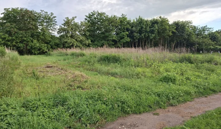 Działka rolna Suliszewo