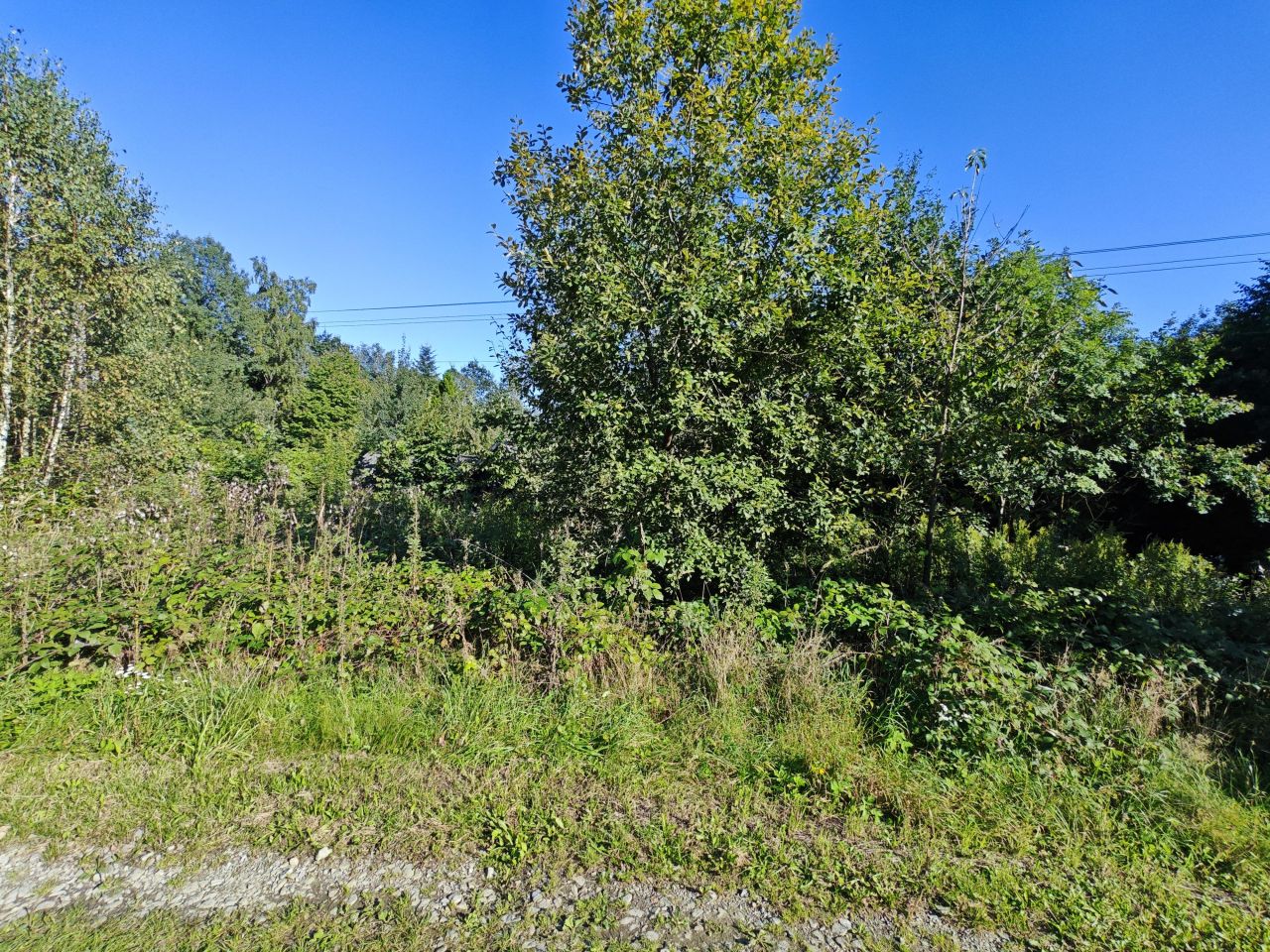 Działka rolno-budowlana Święcany. Zdjęcie 10