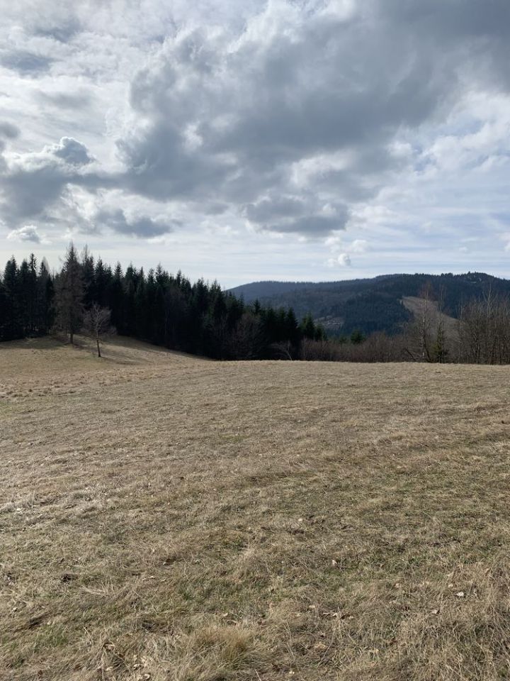 Działka rolna Lubomierz. Zdjęcie 7