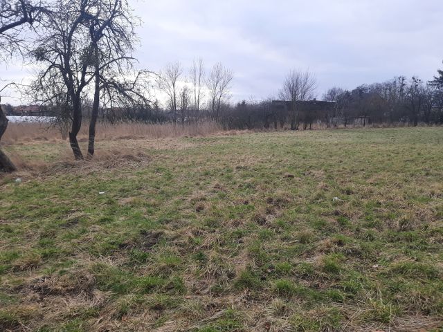 Działka rolno-budowlana Choszczno, ul. Wojska Polskiego. Zdjęcie 1