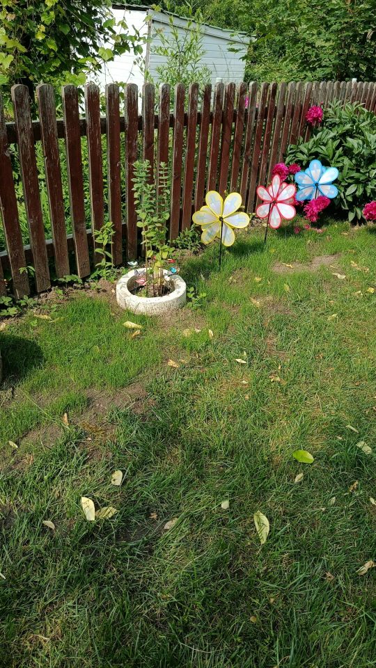 Działka rod Gorzów Wielkopolski, ul. Franklina Roosevelta. Zdjęcie 5