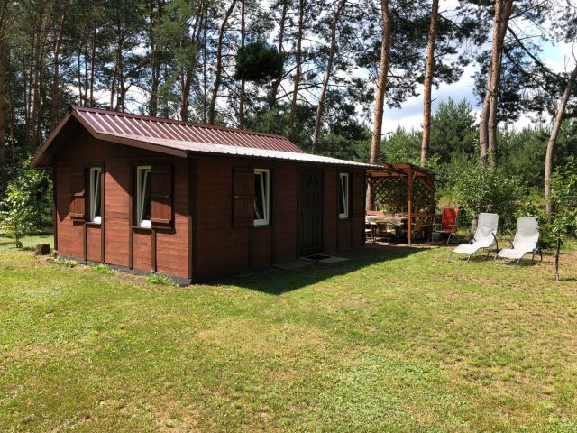 Działka leśna Marcjanka. Zdjęcie 1