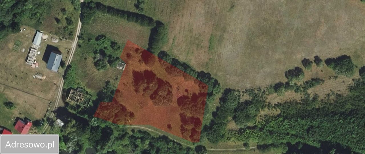 Działka rolna Główka. Zdjęcie 4