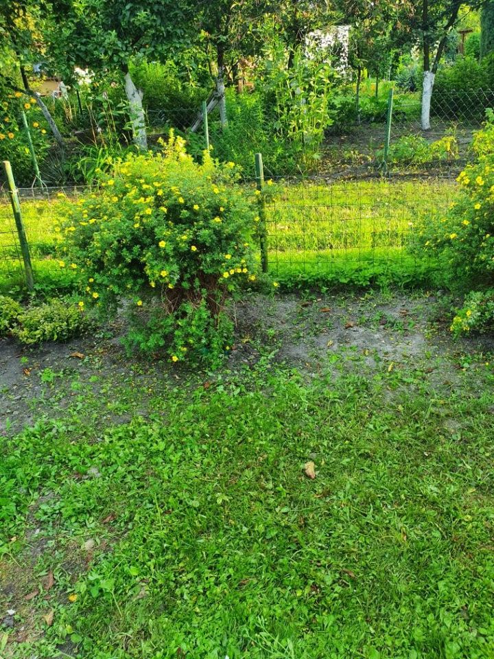 Działka rod Łódź Polesie. Zdjęcie 5