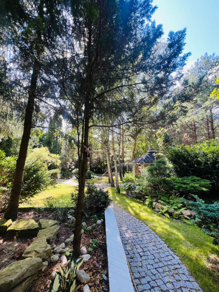 Działka budowlana Zofiówka. Zdjęcie 2