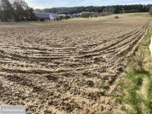 Działka rolna Osowicze. Zdjęcie 1