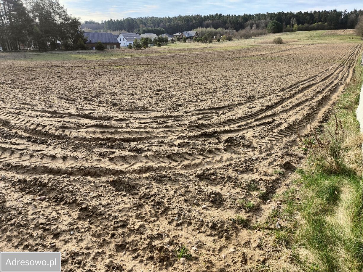 Działka rolna Osowicze. Zdjęcie 2