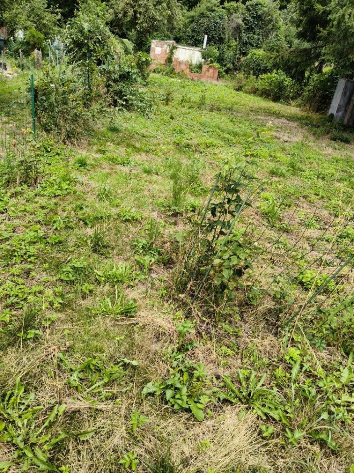 Działka rod Legnica, ul. Jaworzyńska. Zdjęcie 5