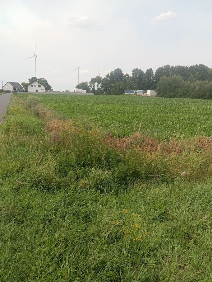 Działka budowlana Góreczki Wielkie. Zdjęcie 3