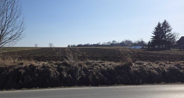 Działka budowlana Rzeplin. Zdjęcie 1
