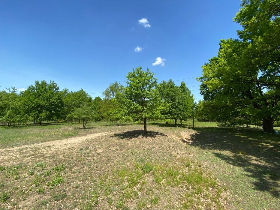 Działka rolna Klaudyn, ul. Klaudyńska. Zdjęcie 3